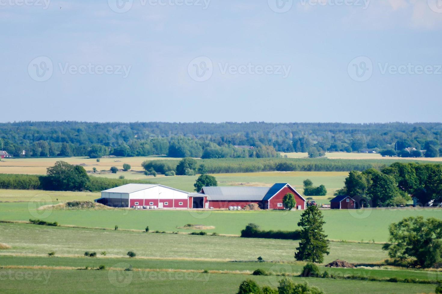 paisaje en suecia, europa foto