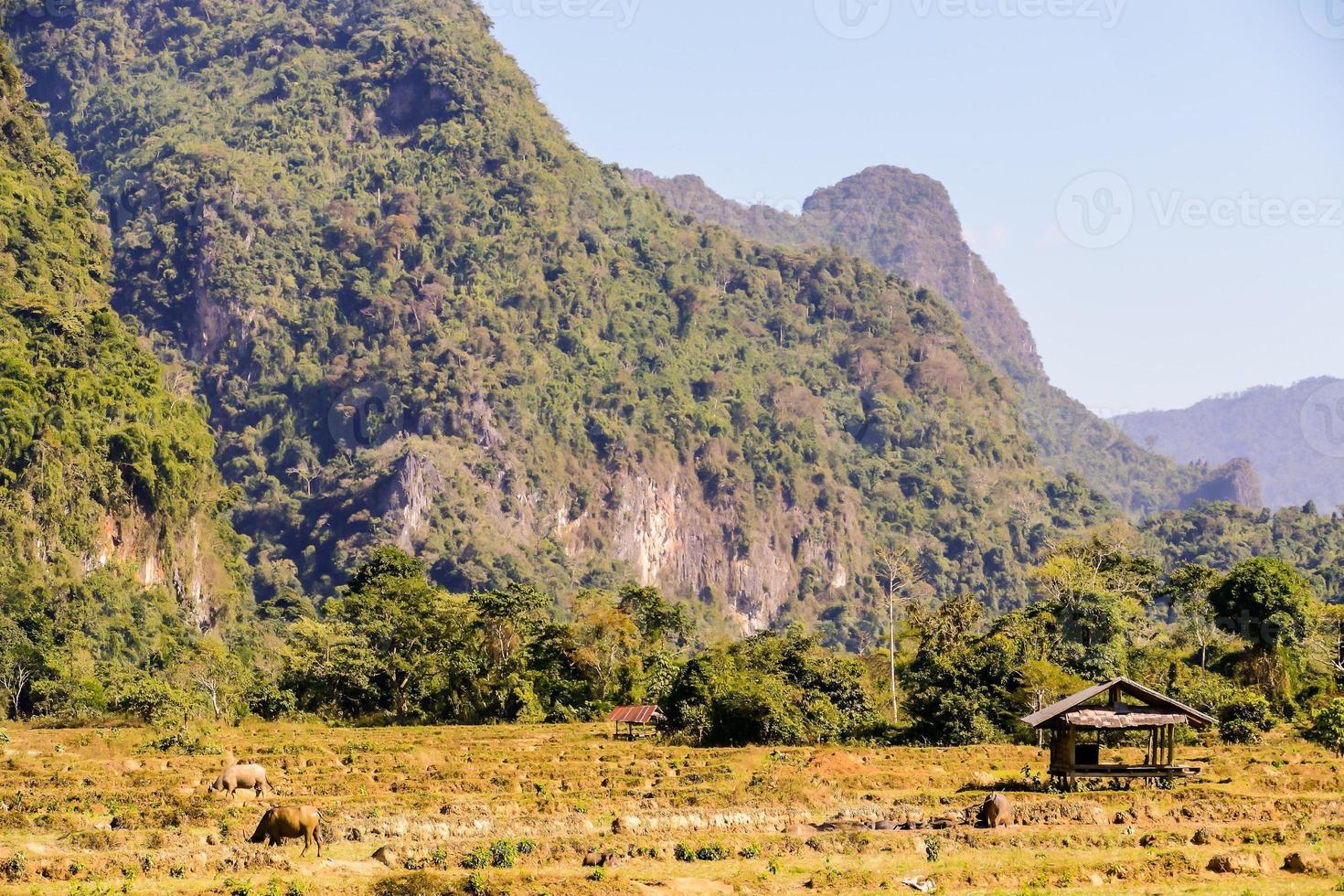 Rural landscape in East Asia photo