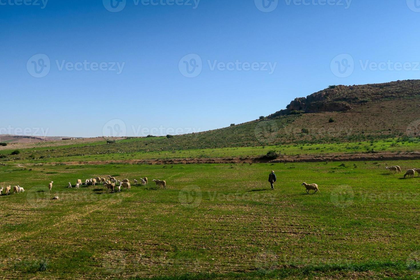 Landscape in Morocco photo