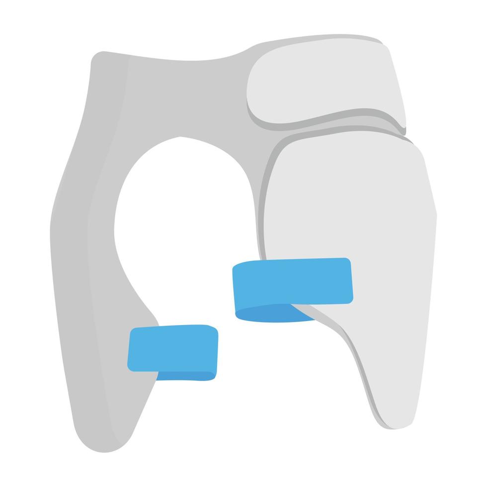 Trendy Thigh Pads vector