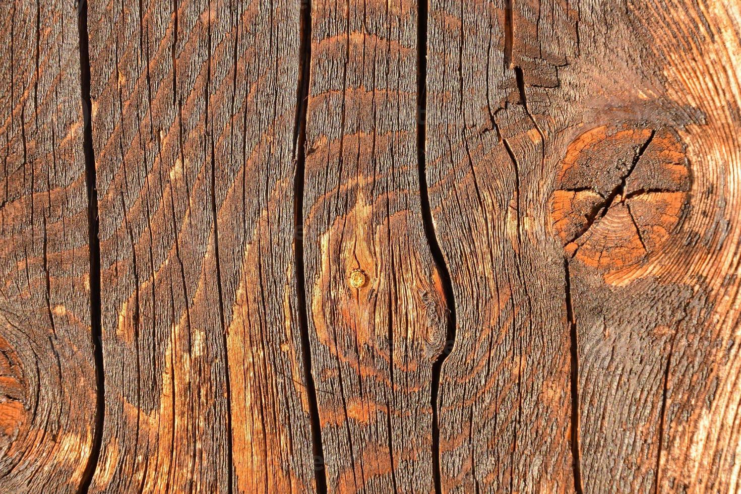 Rustic wood texture photo