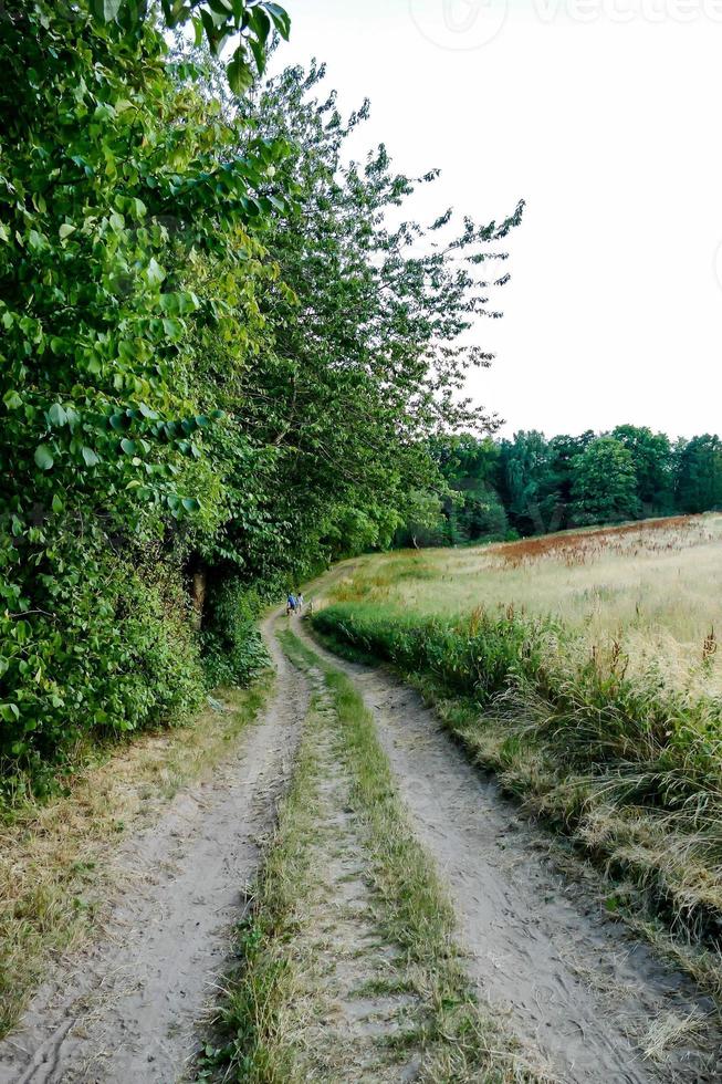 Landscape in Sweden, Europe photo