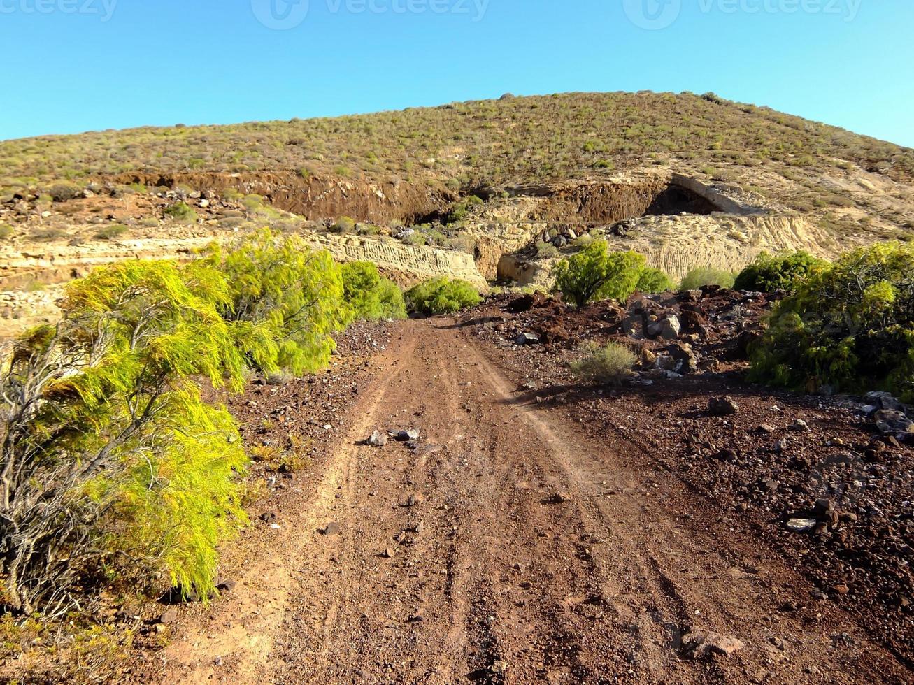 Path in the desert photo