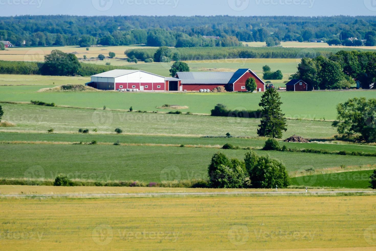 paisaje en suecia, europa foto