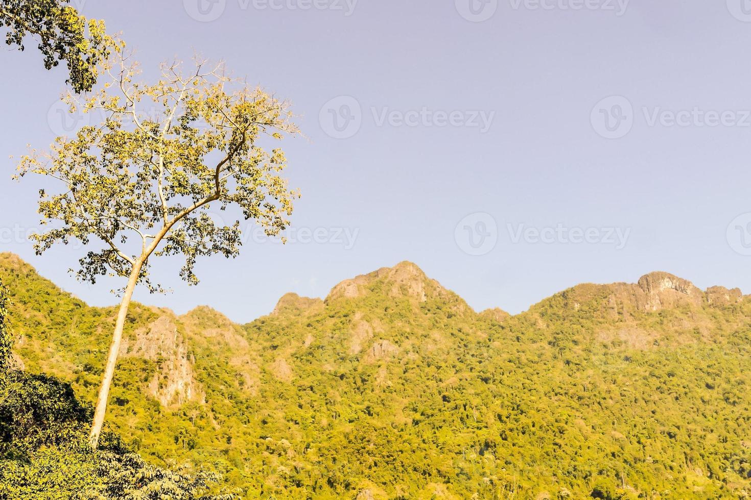 Rural landscape in East Asia photo