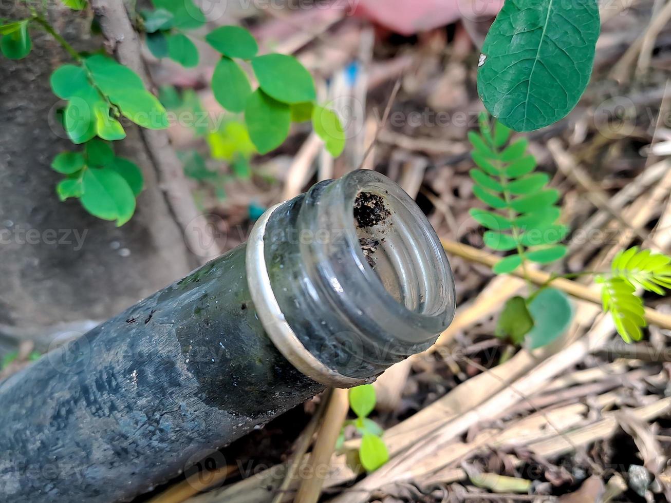 used syrup bottles embedded in the ground with green grass in between the bottles. photo