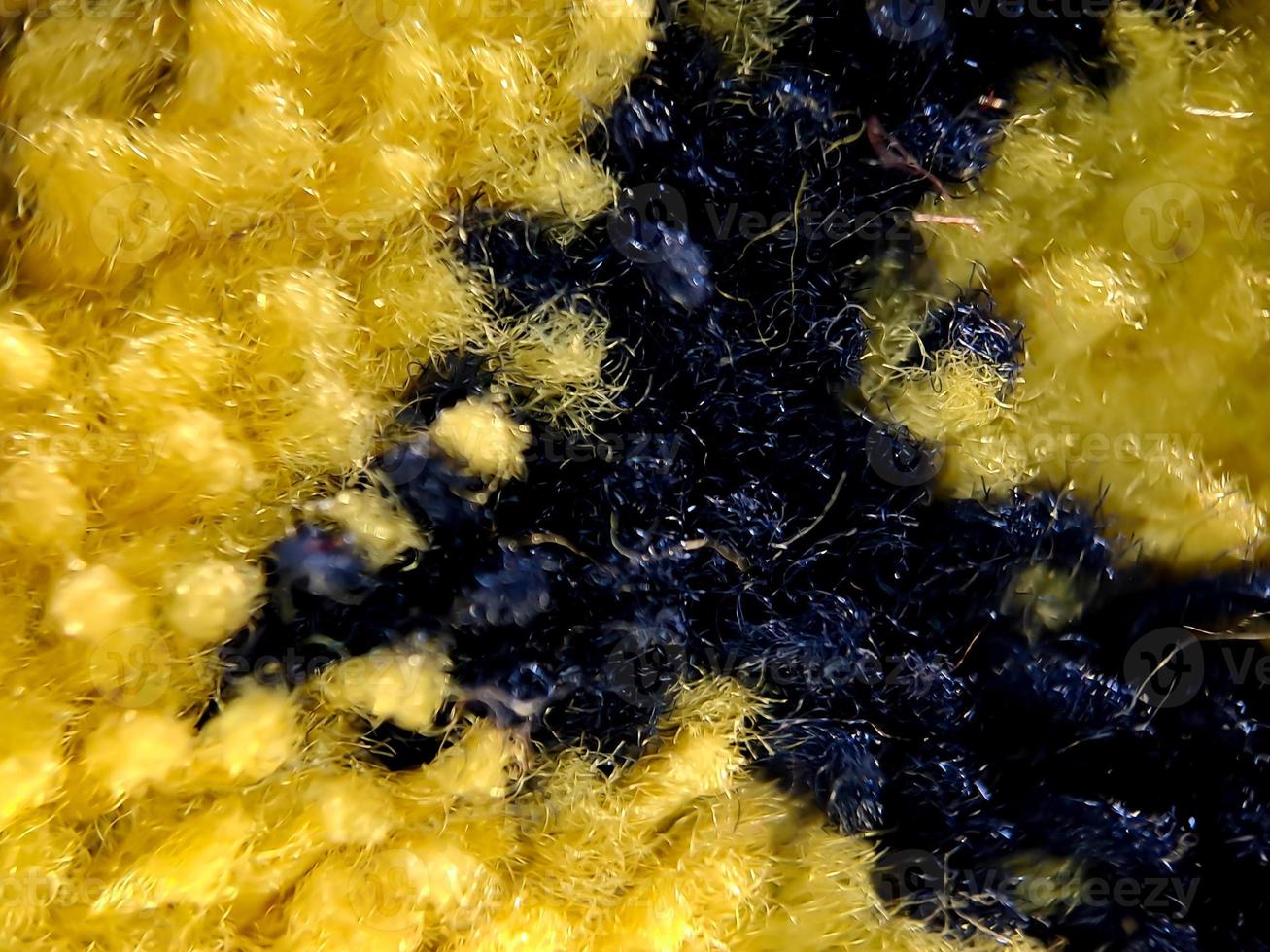 the texture of the prayer rug in dark blue and gold. suitable for