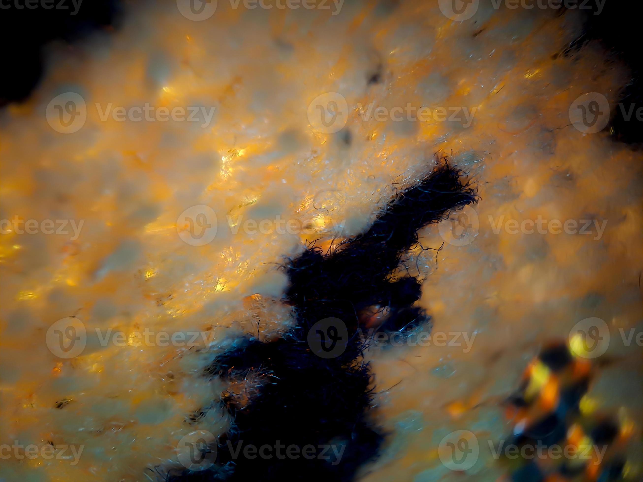 the texture of the prayer rug in dark blue and gold. suitable for