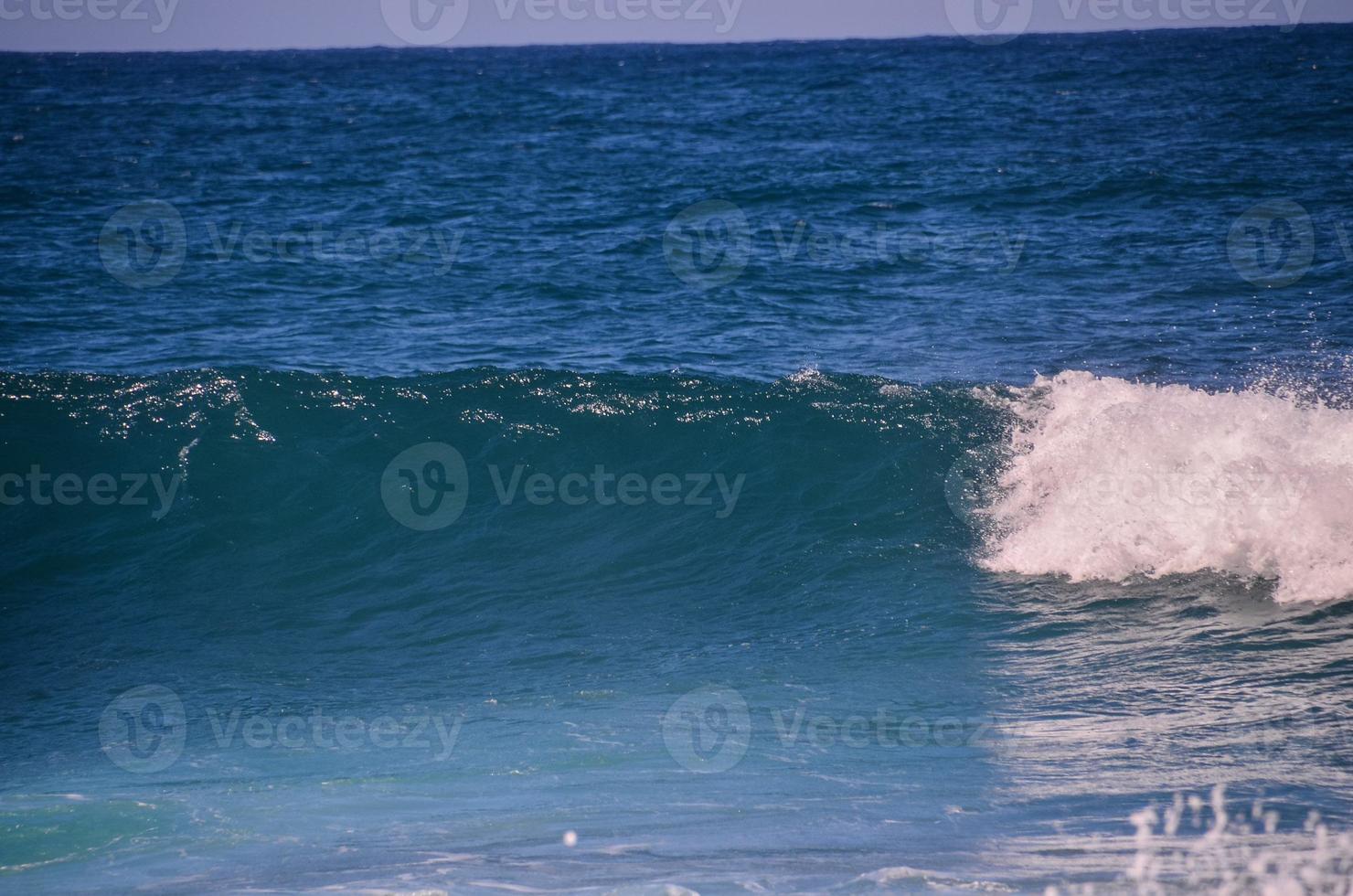 Huge sea waves photo