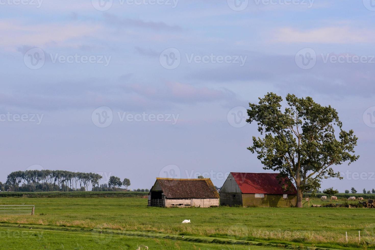 granero en el campo foto