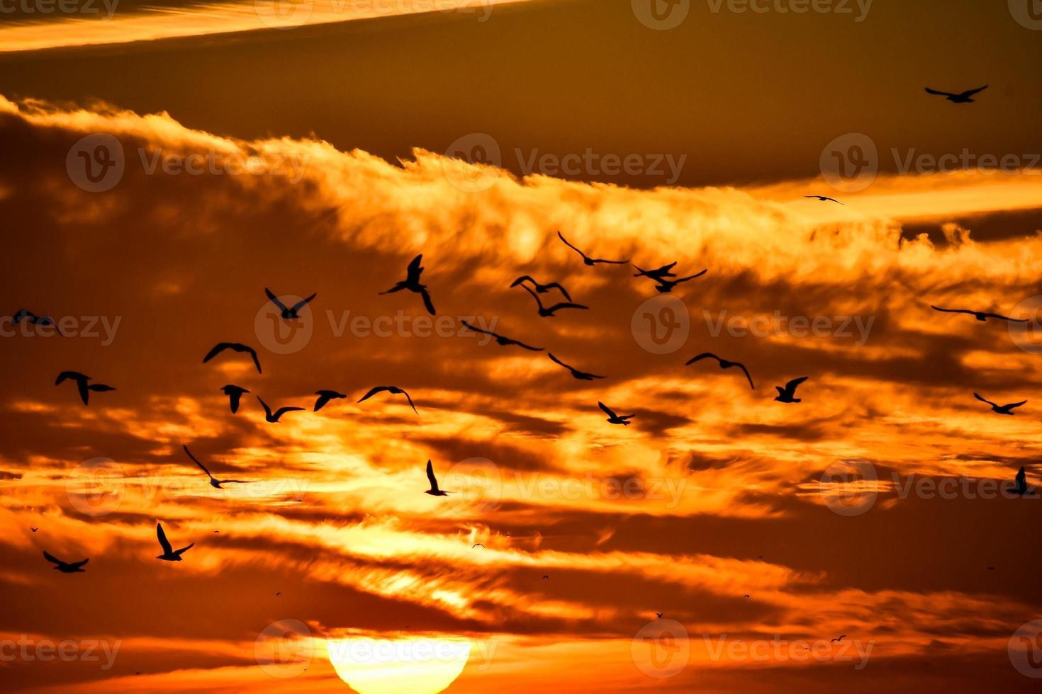 View of sunset photo