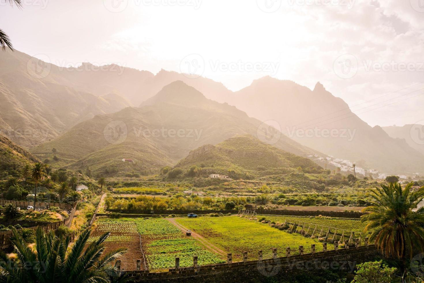 Landscape on the Canary Islands photo