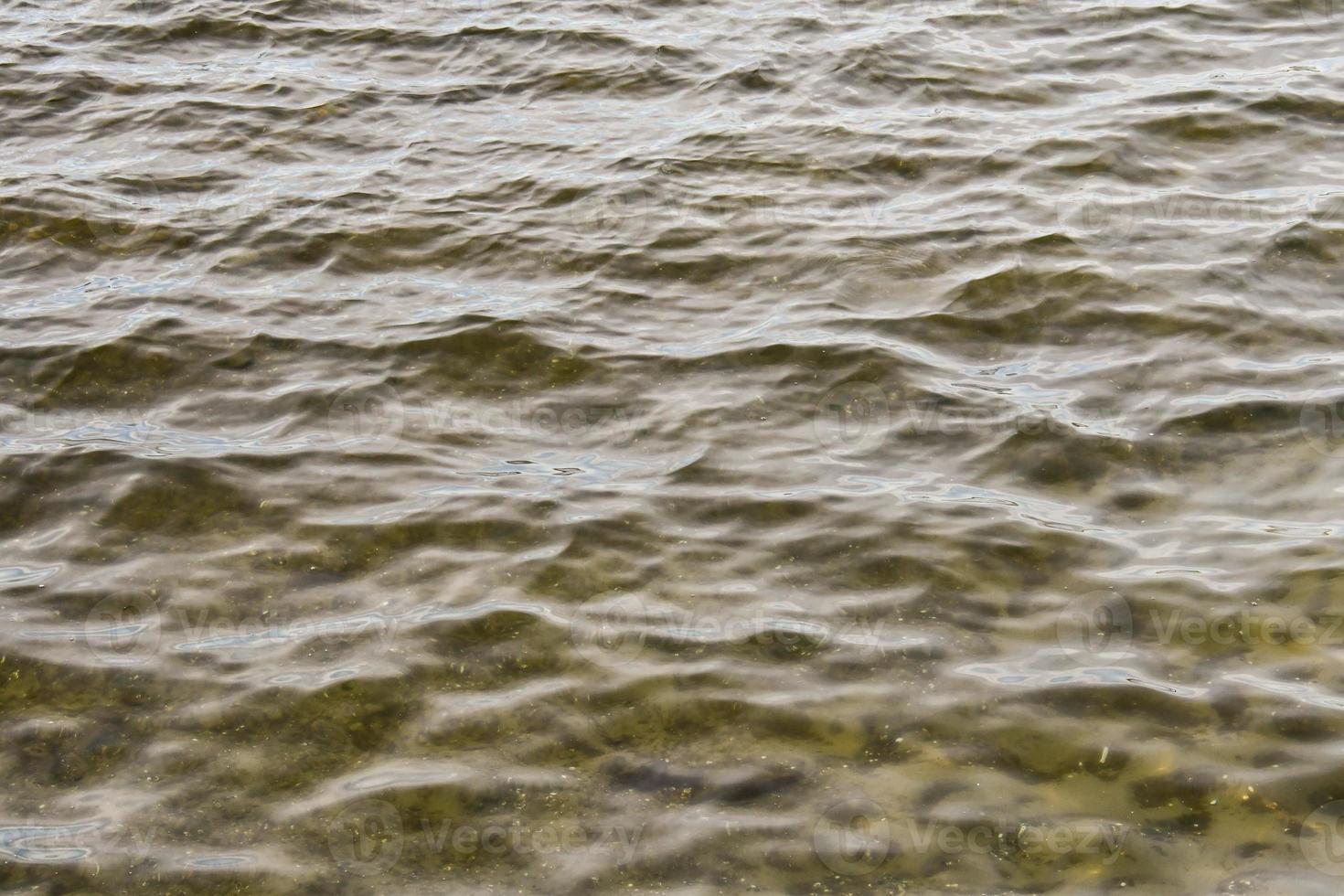 View of the water photo