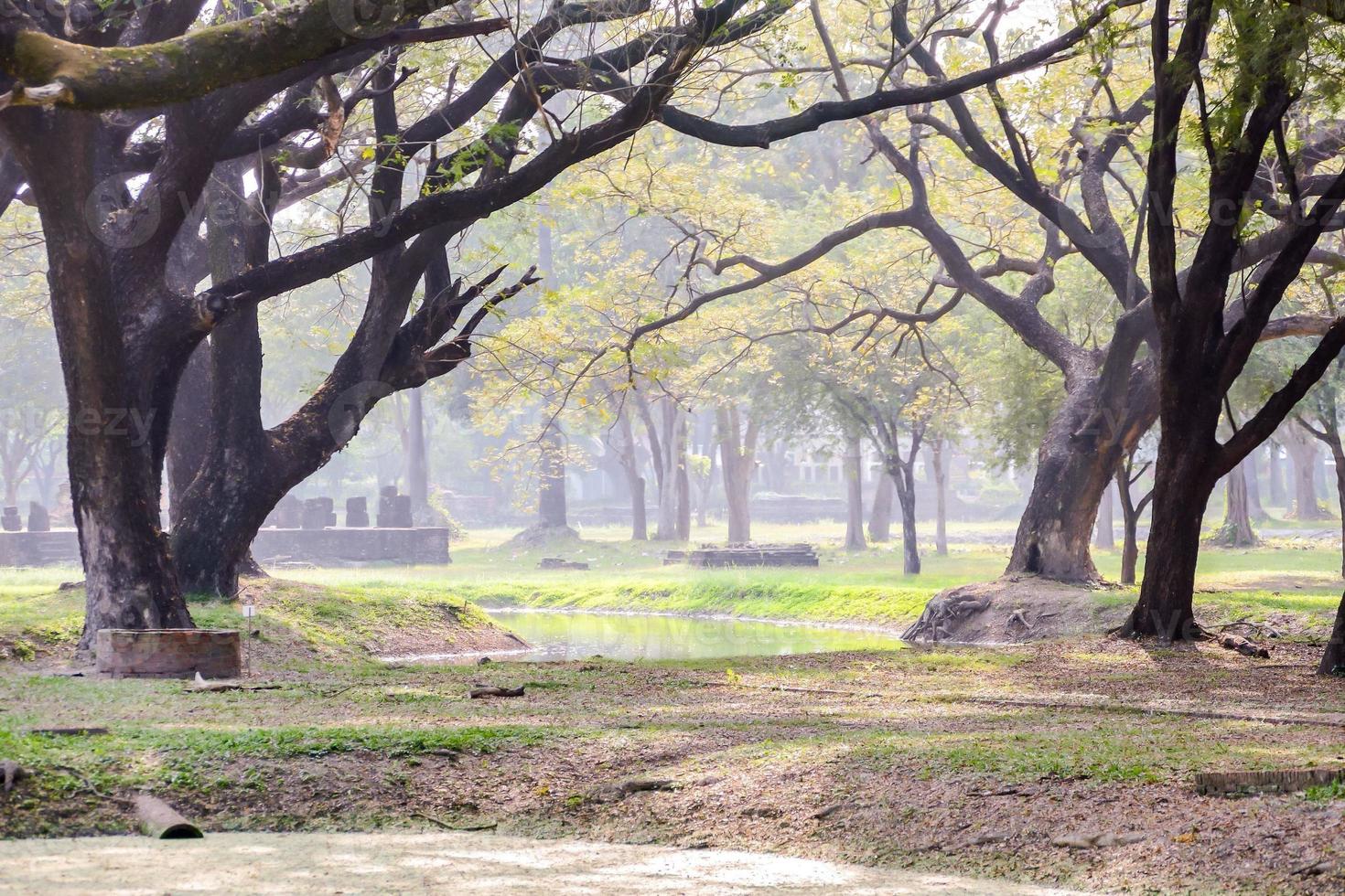 Rural landscape in Eastern Asia photo