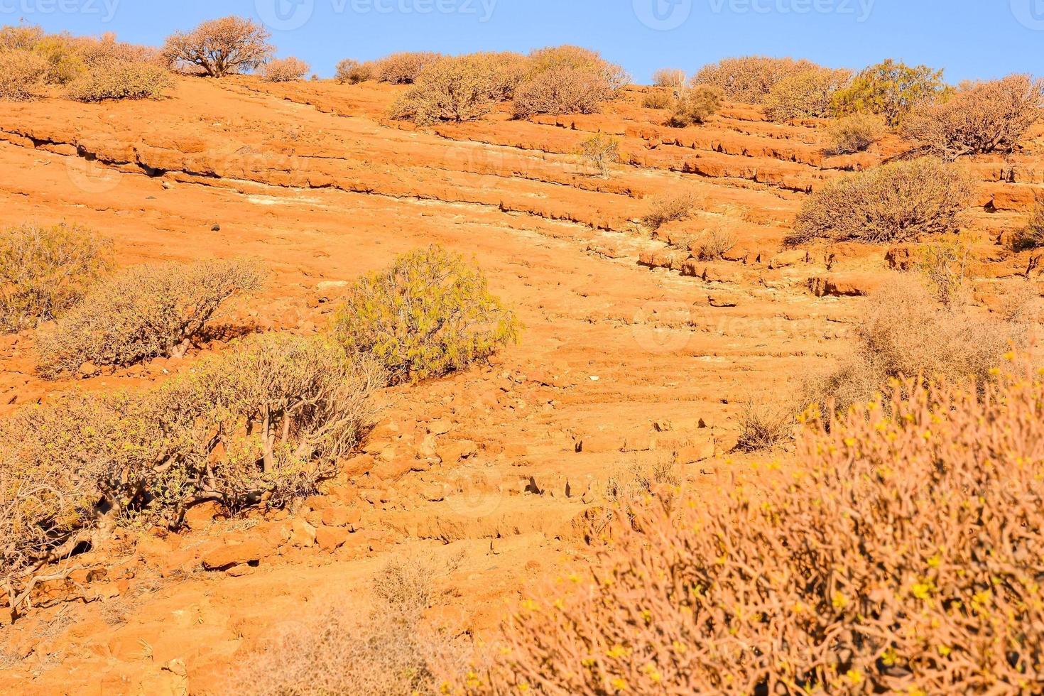 Landscape on the Canary Islands photo