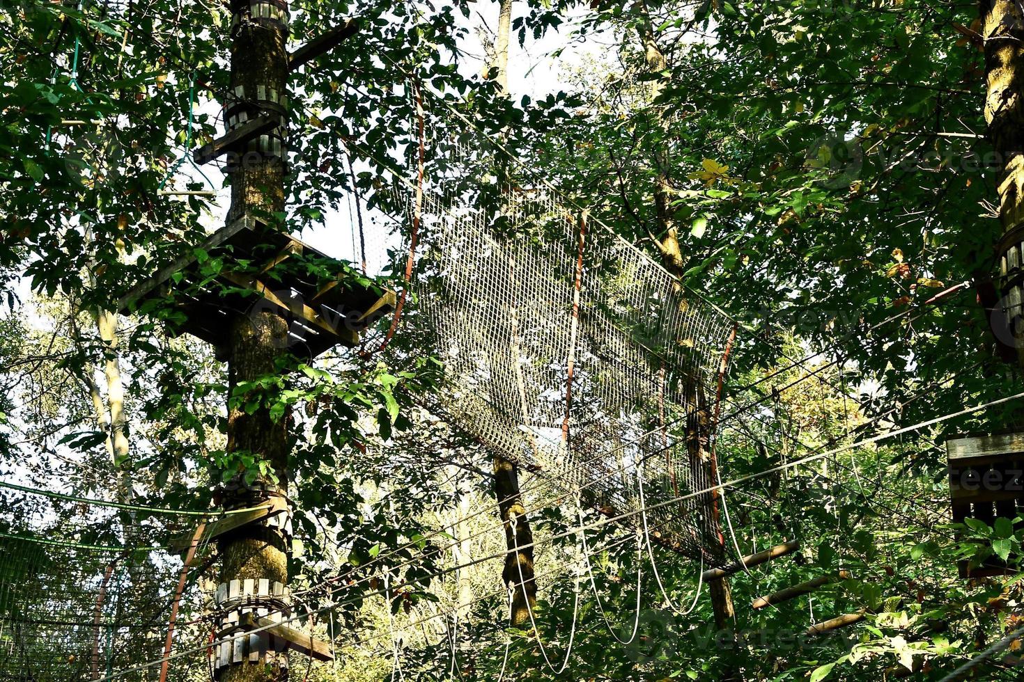 View of the woods photo
