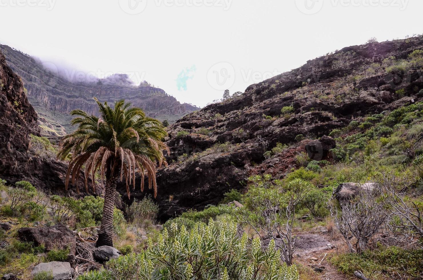 paisaje rocoso en las islas canarias foto