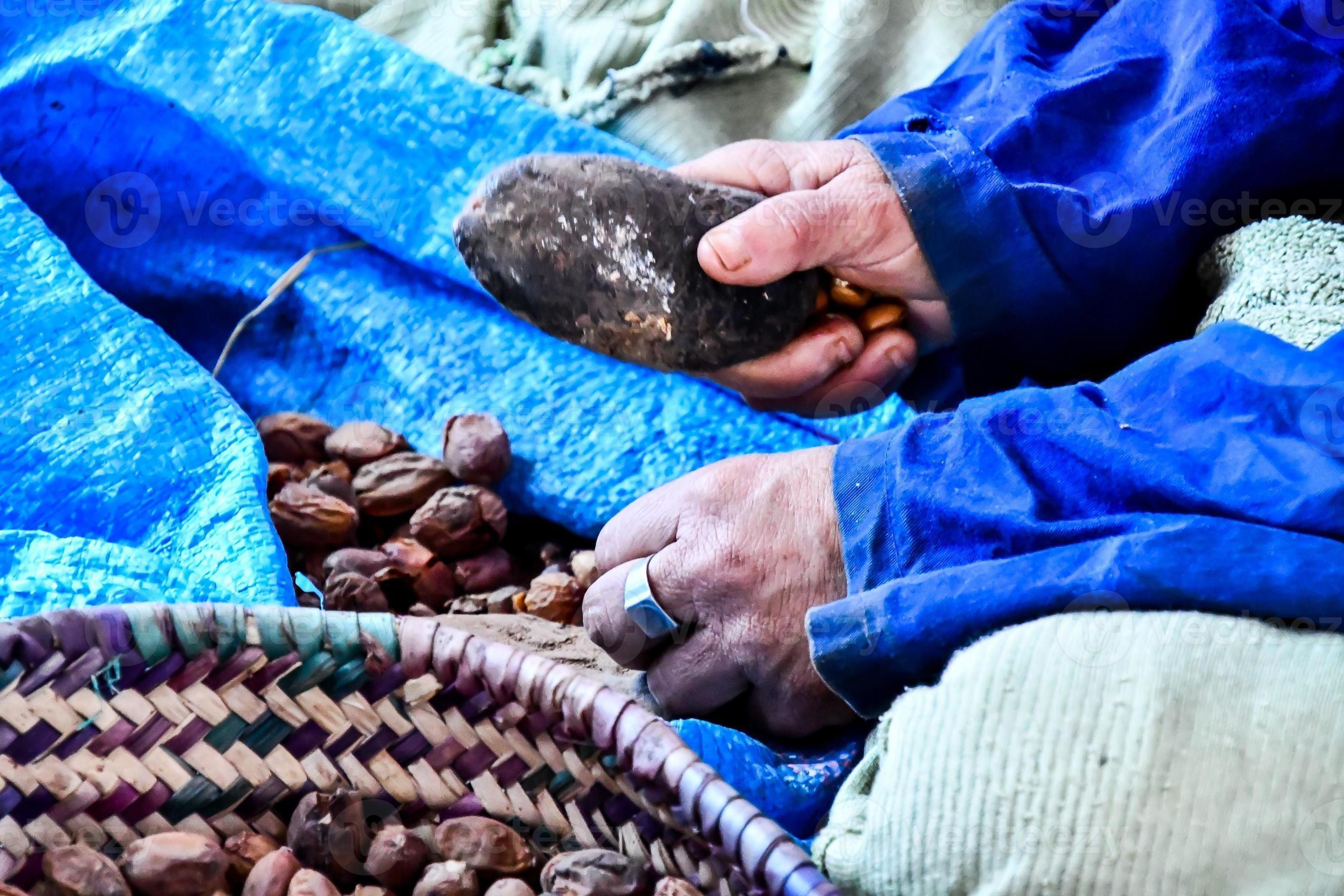 Cracking open nuts 14788234 Stock Photo at Vecteezy
