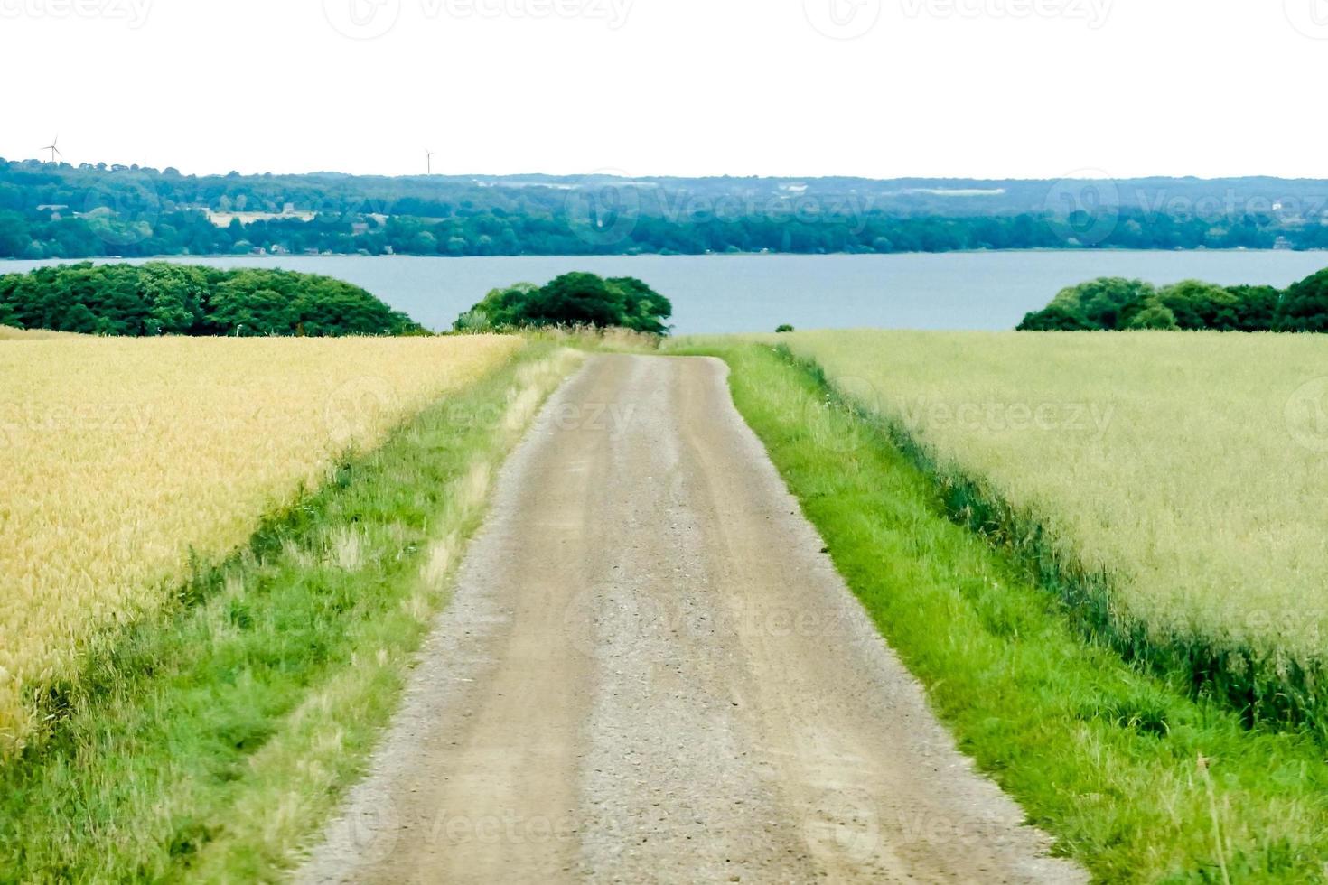 paisaje en suecia, europa foto