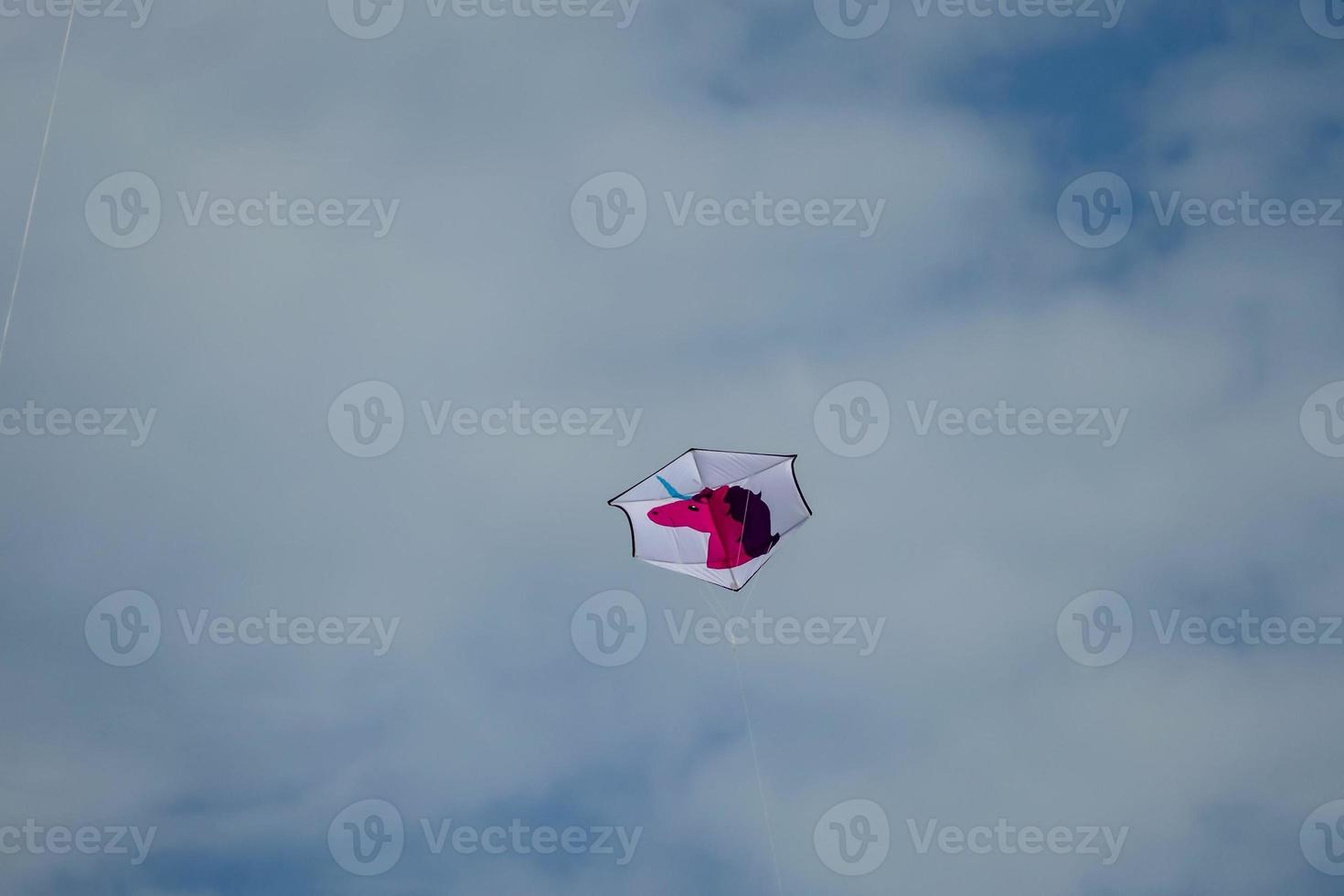 Kite in sky photo