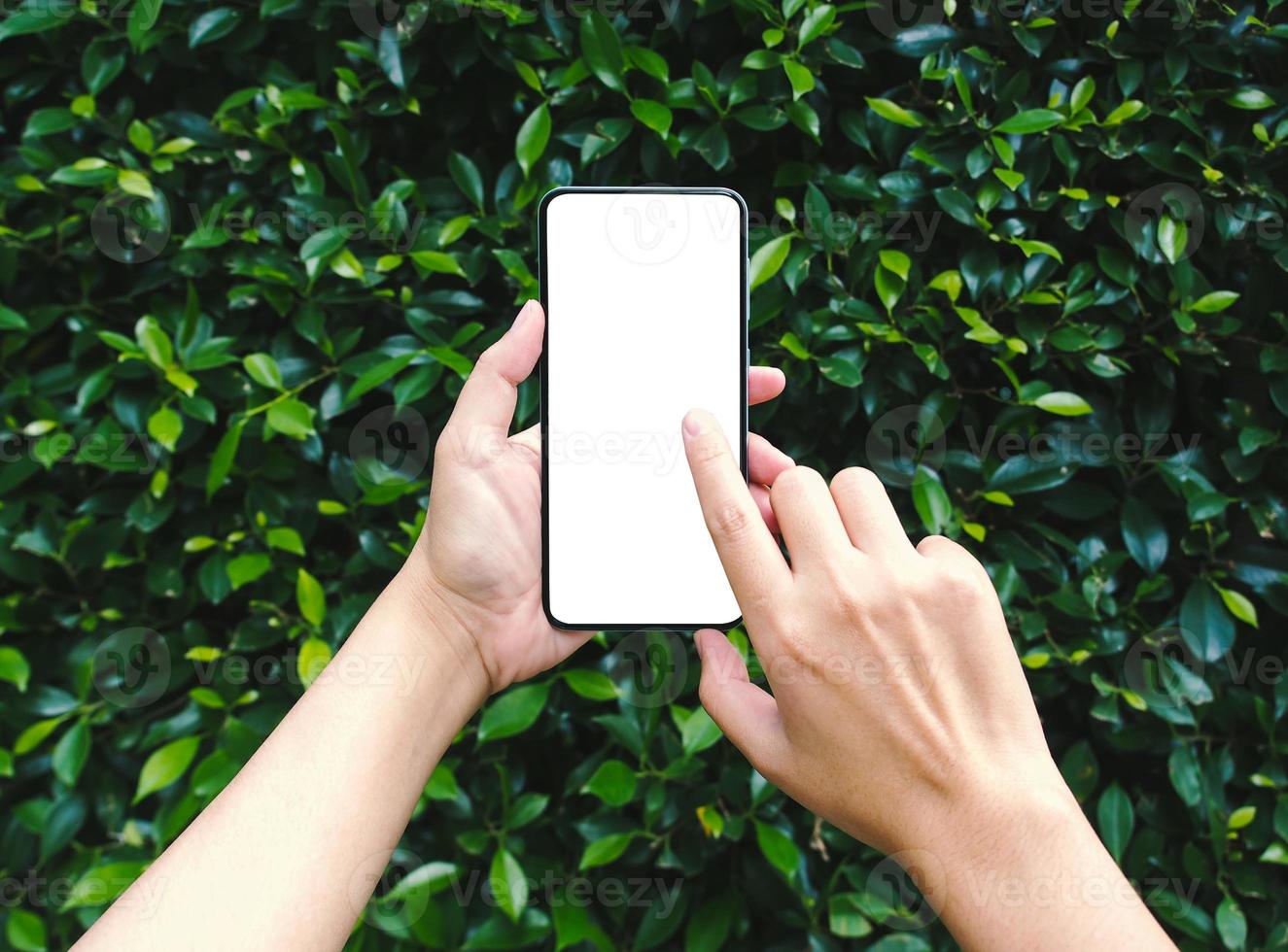 Woman using smartphone with blank screen for mockup on natural green leaf background. photo