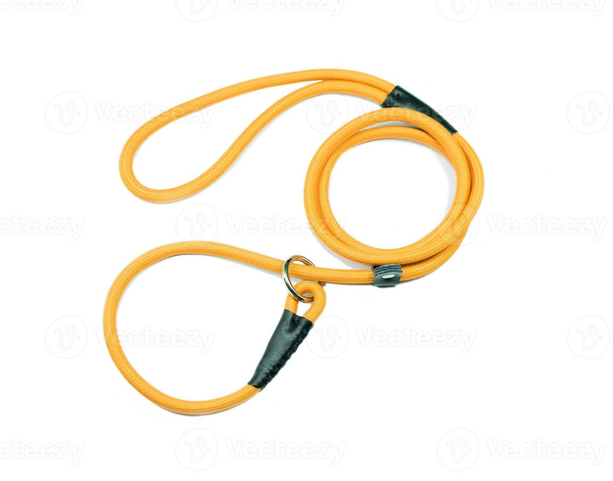 Orange pet leash on isolated white background.  Pet accessories concept. photo