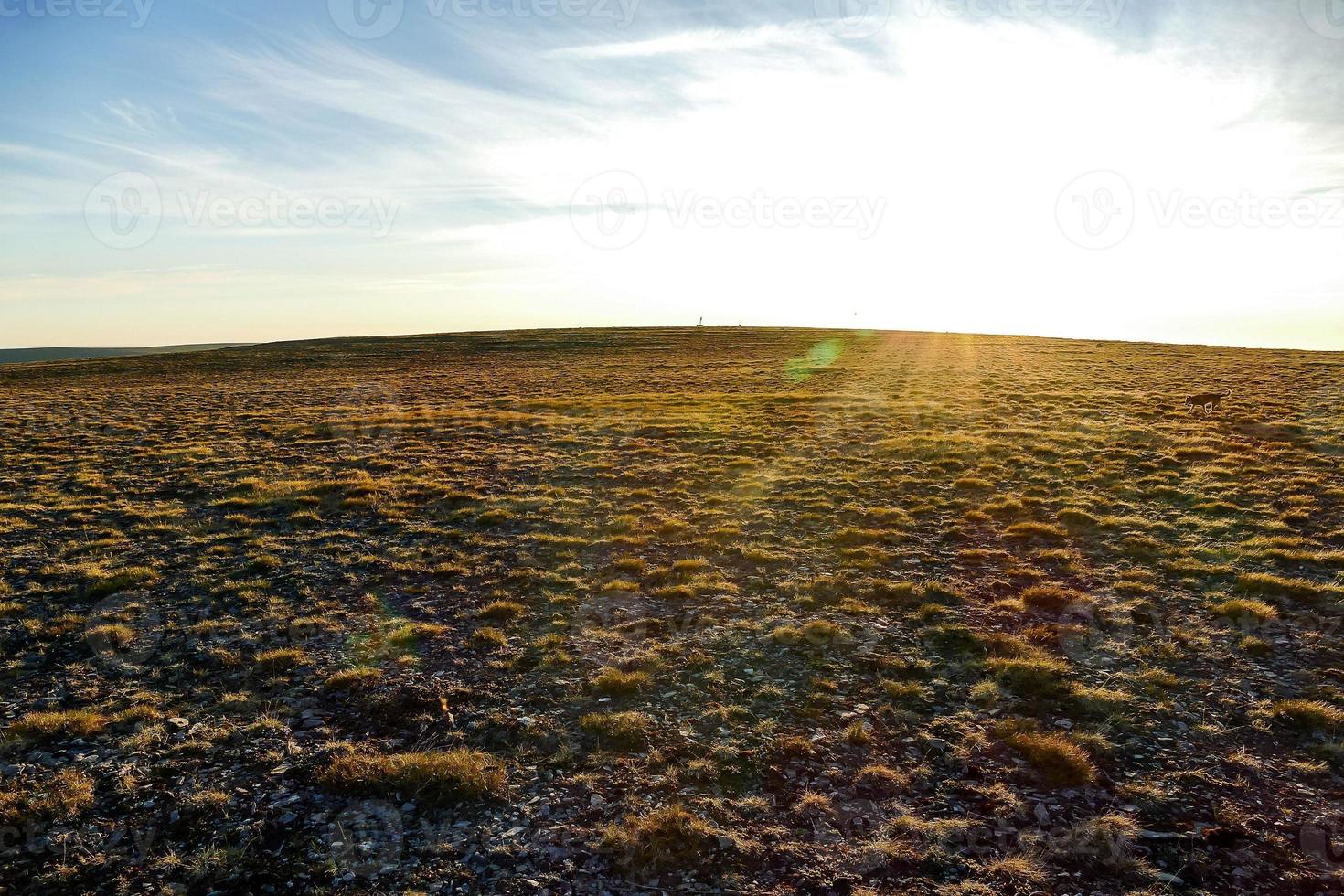 Rural landscape in Sweden photo