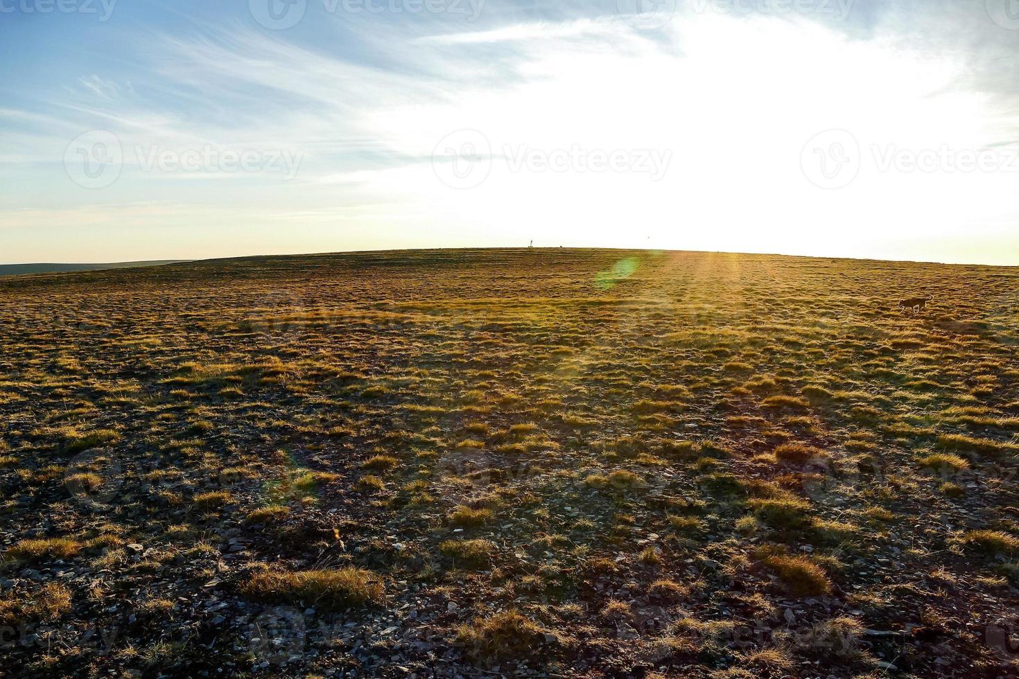 Rural landscape in Sweden photo