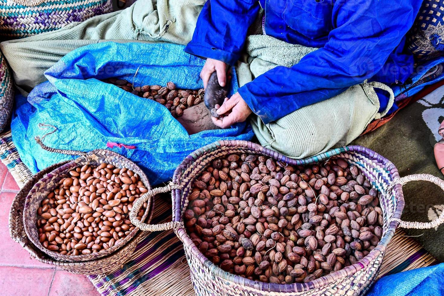 Cracking open nuts photo