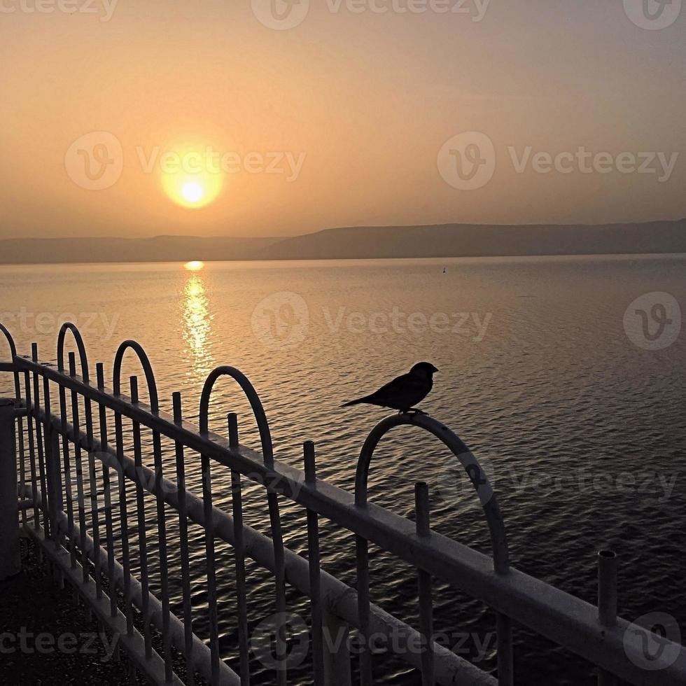 A sunrise over the sea of Galilee photo