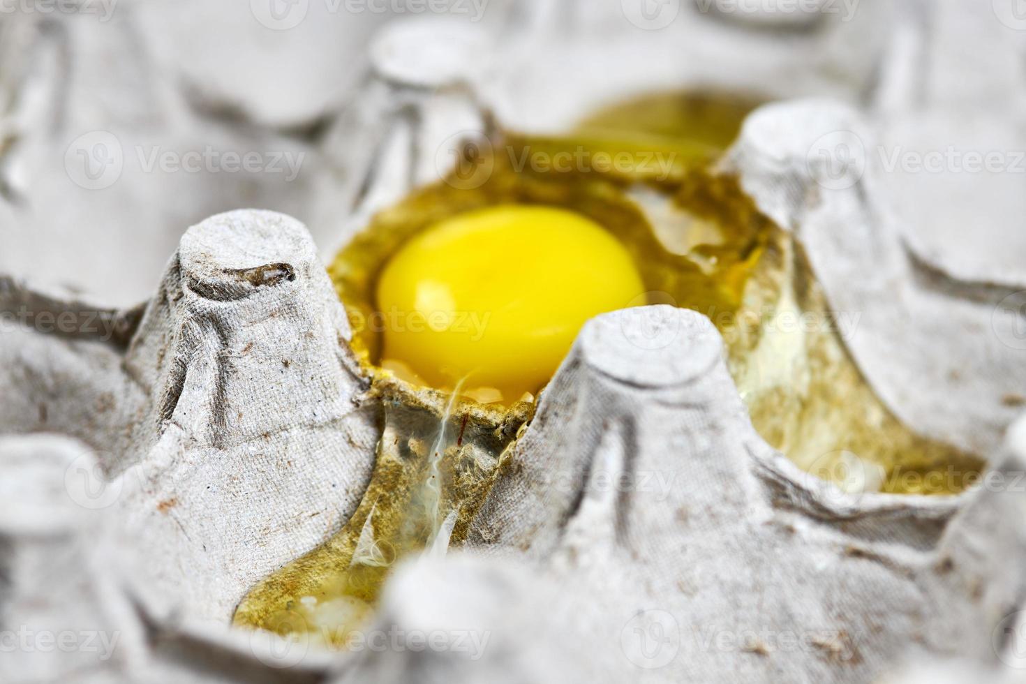 Broken egg in paper egg tray photo