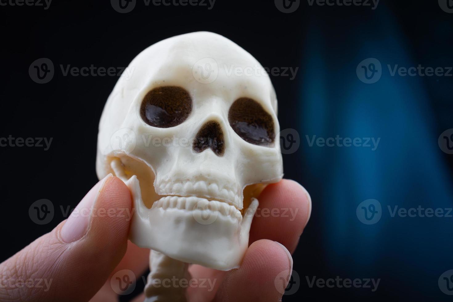 Human skeleton skull model in hand posing for medical anatomy science photo