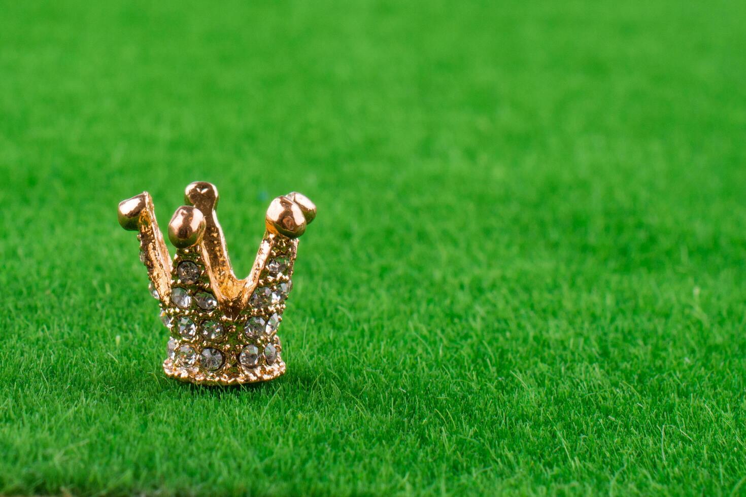Grass Crown Stock Photos, Images and Backgrounds for Free Download