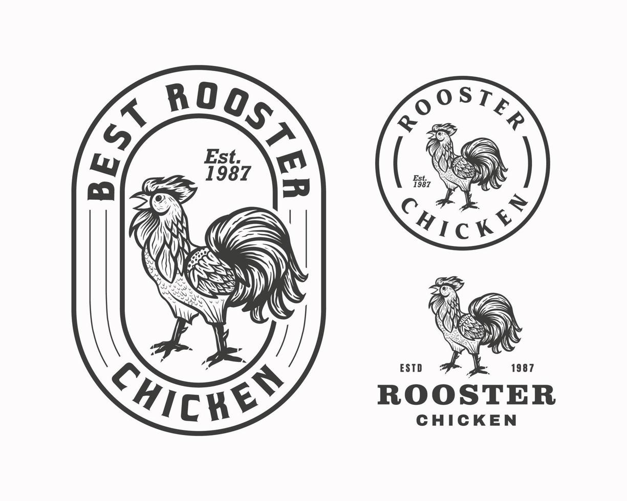 plantillas de diseño de logotipo de emblema de pollo de gallo vector