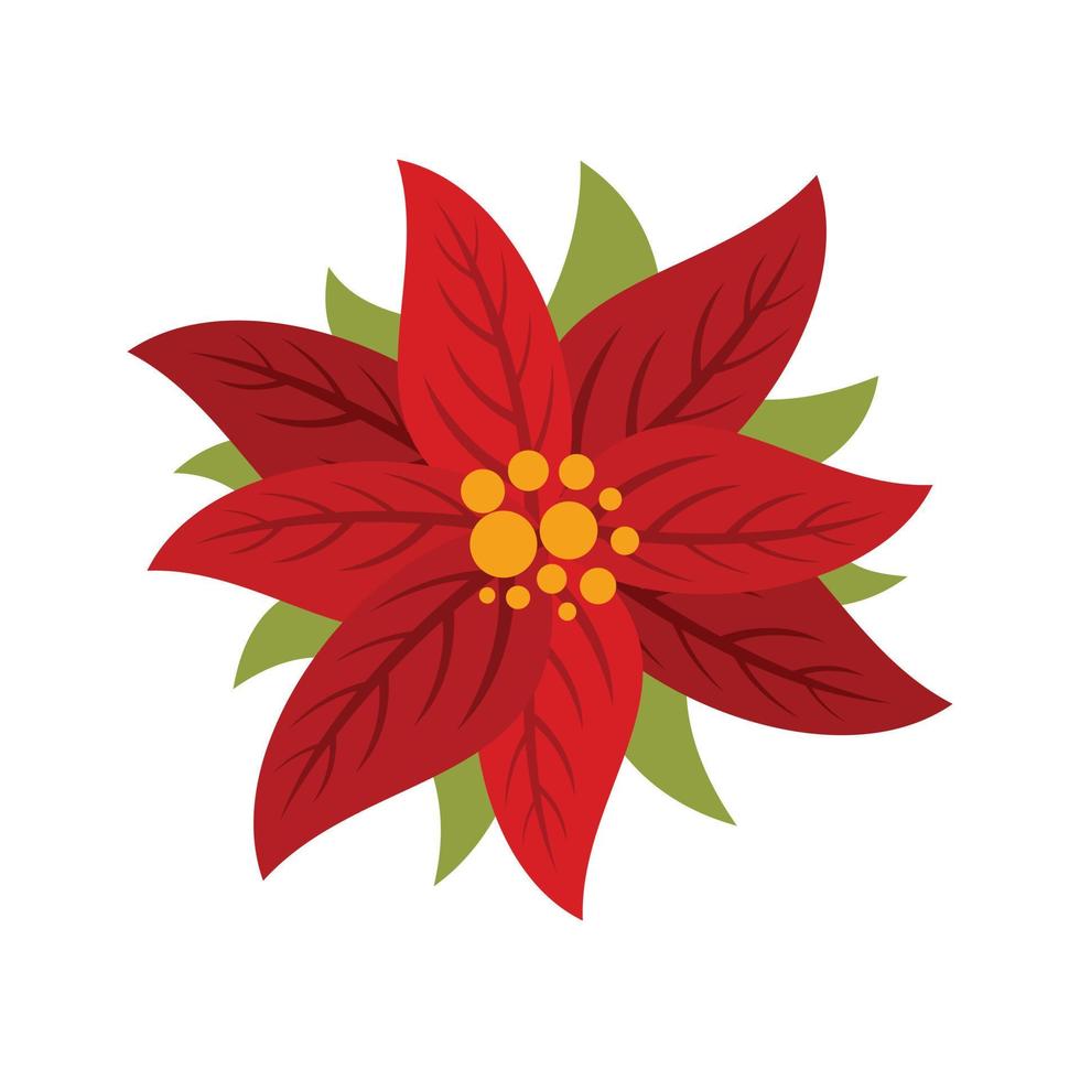 Blossom poinsettia icon flat isolated vector