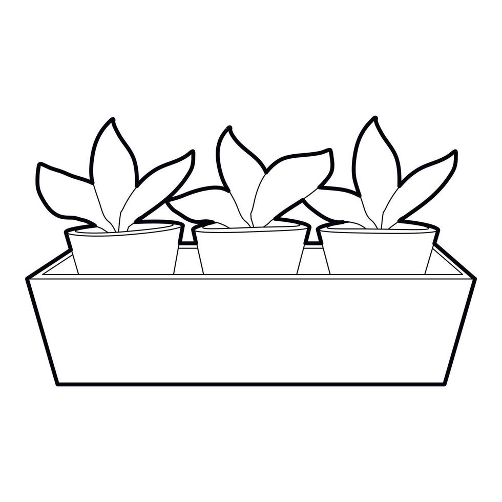 Young sprout seedlings in a flower box icon vector