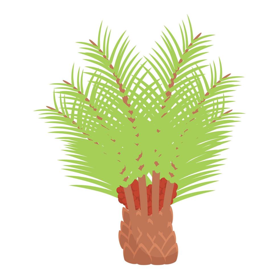 vector de dibujos animados de icono de árbol tropical. comida de aceite