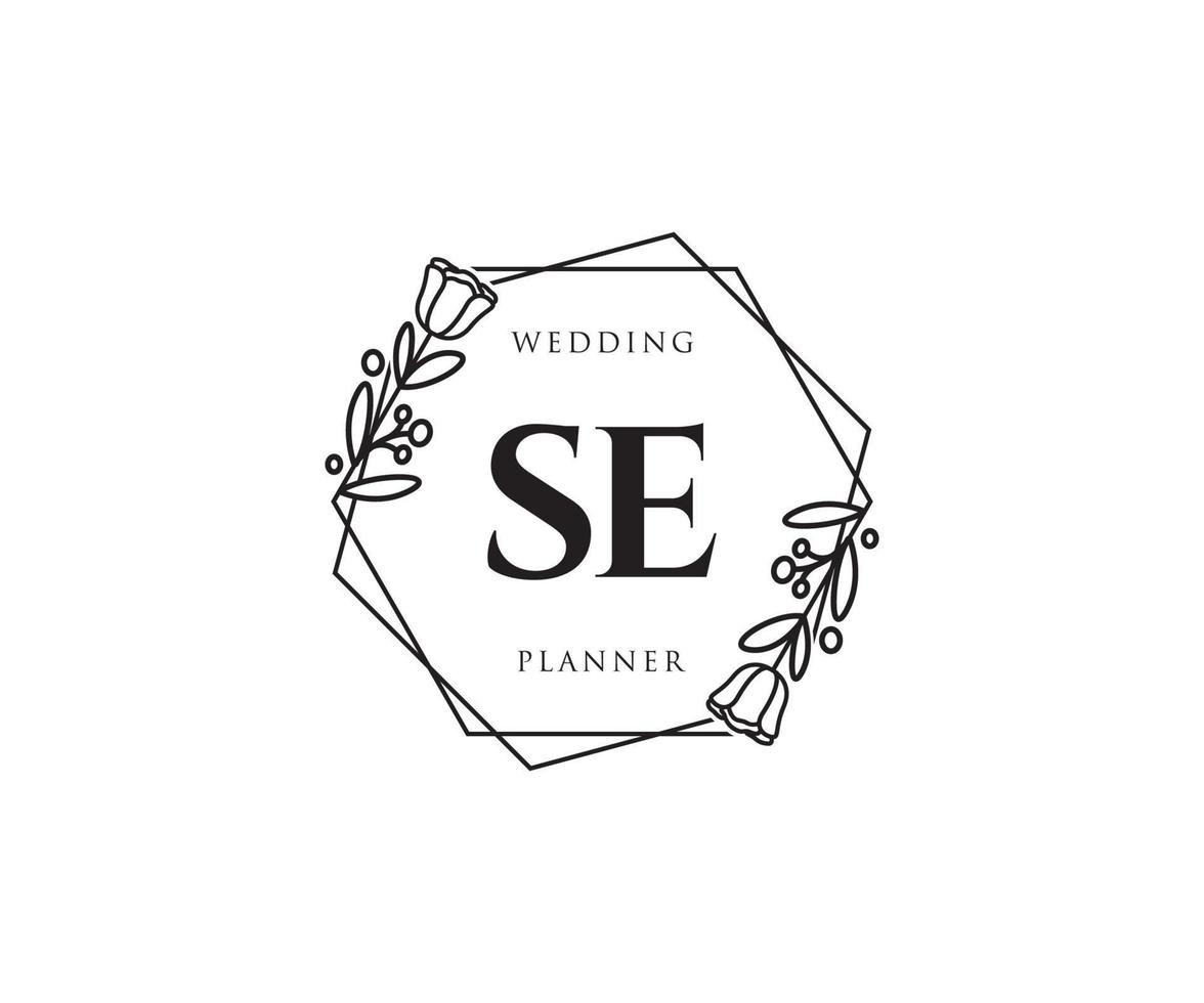 Initial SE feminine logo. Usable for Nature, Salon, Spa, Cosmetic and Beauty Logos. Flat Vector Logo Design Template Element.