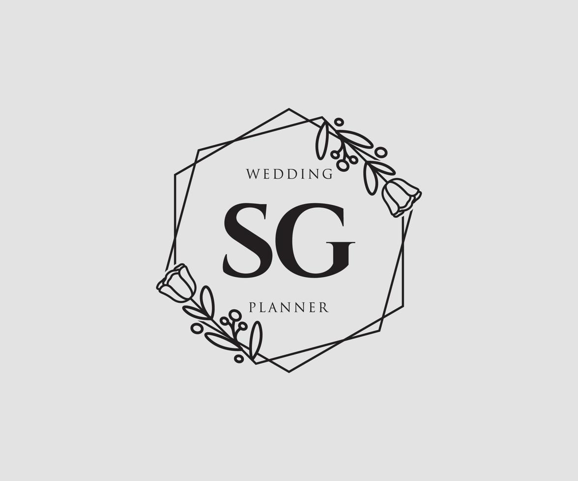 Initial SG feminine logo. Usable for Nature, Salon, Spa, Cosmetic and Beauty Logos. Flat Vector Logo Design Template Element.