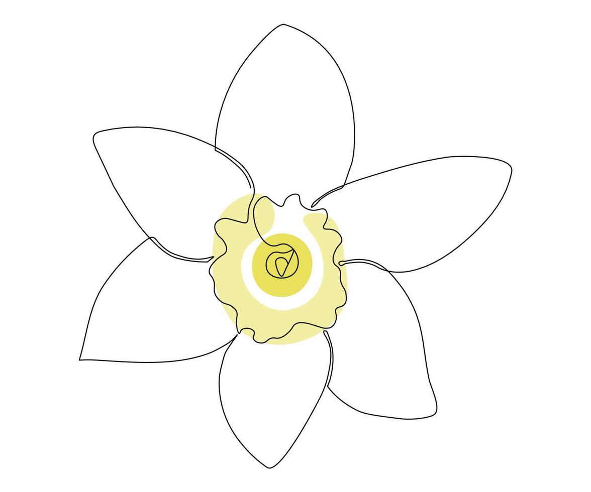 la flor de narciso está dibujada a mano en un estilo minimalista, en la técnica de una sola línea, una monolínea. símbolo de cosméticos, logotipo de salón de belleza vector