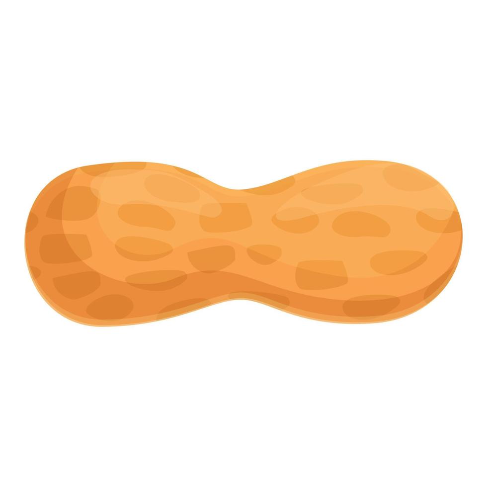 Whole peanut icon cartoon vector. Caramel bread vector