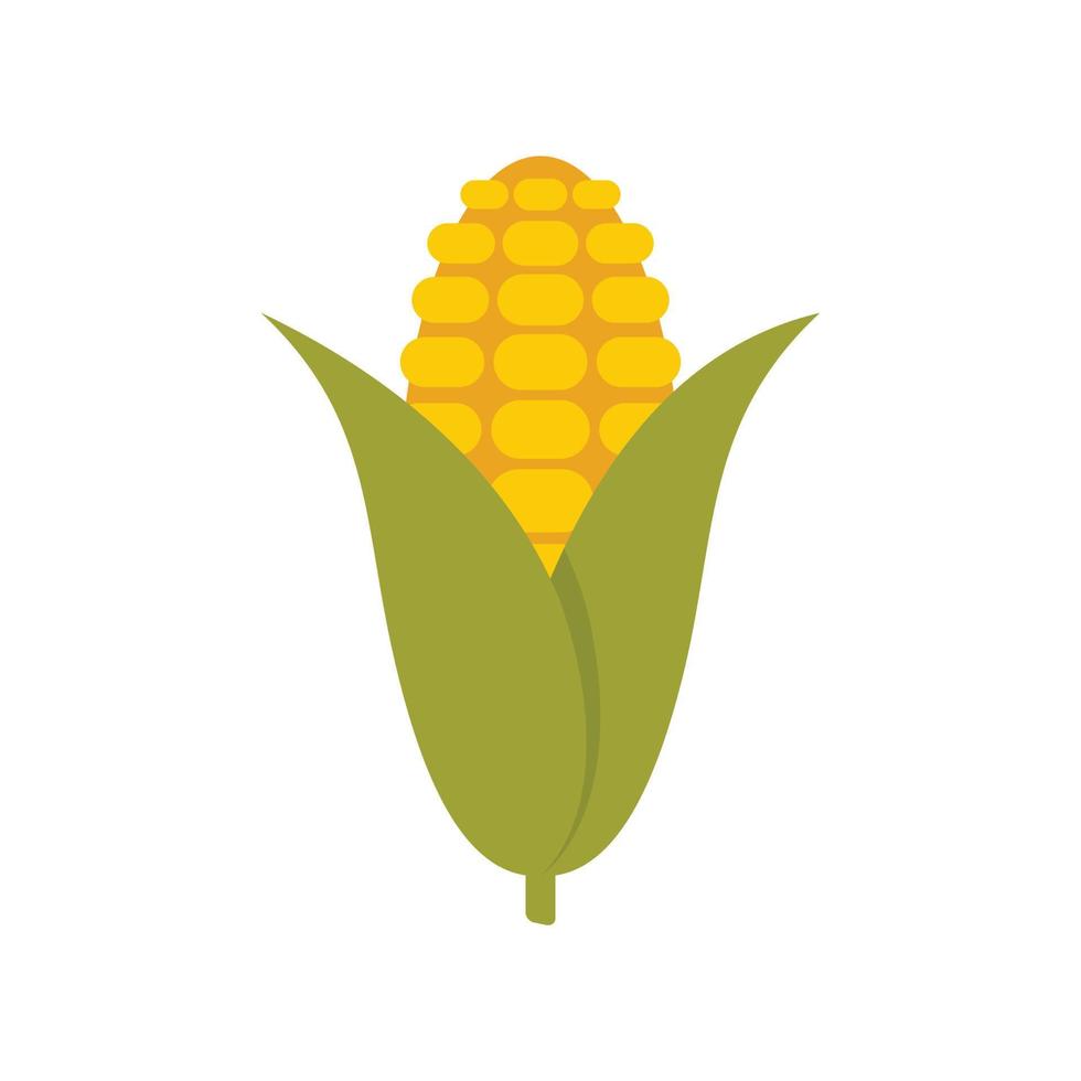 Eco corn icon flat isolated vector