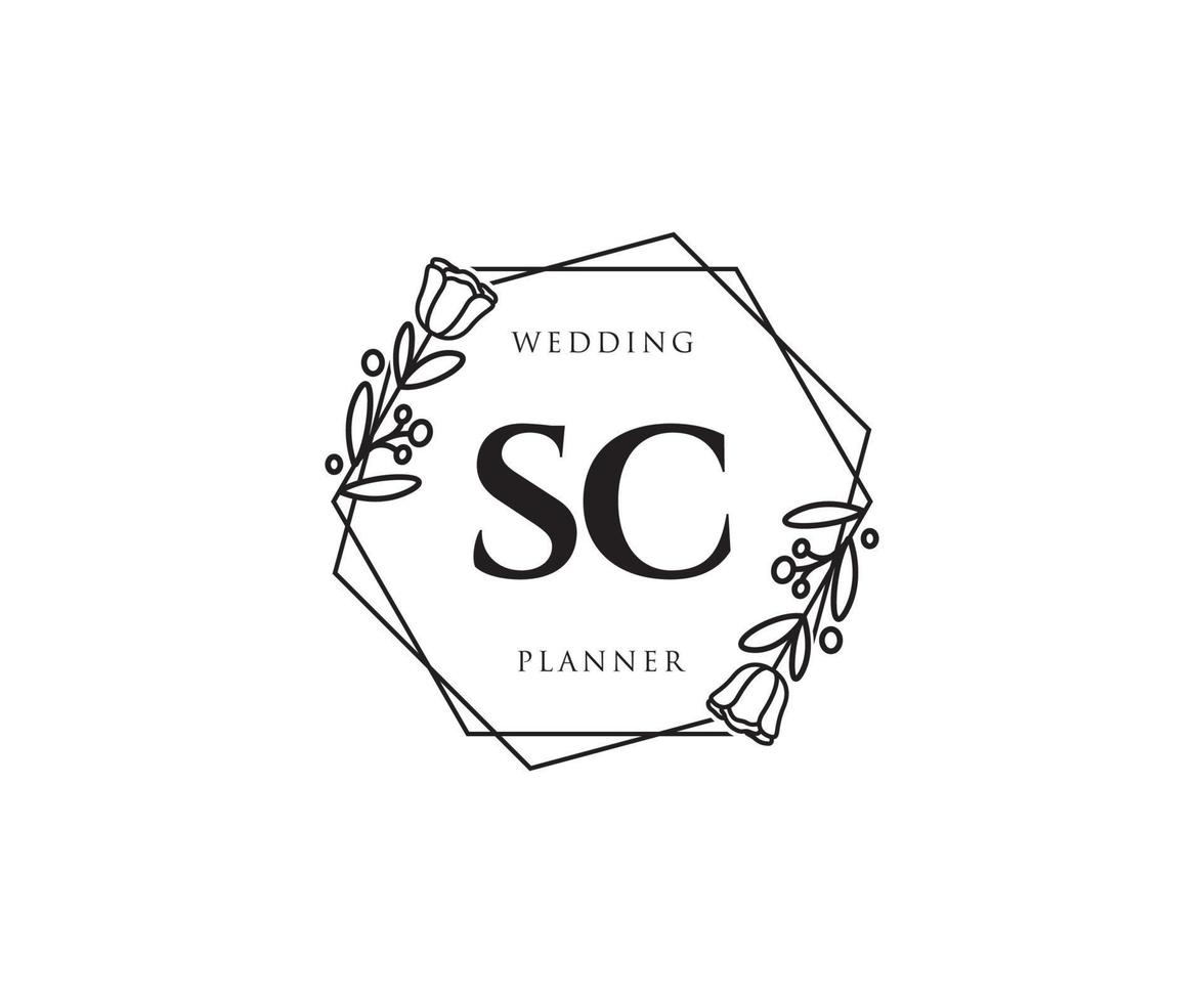 logotipo femenino sc inicial. utilizable para logotipos de naturaleza, salón, spa, cosmética y belleza. elemento de plantilla de diseño de logotipo de vector plano.