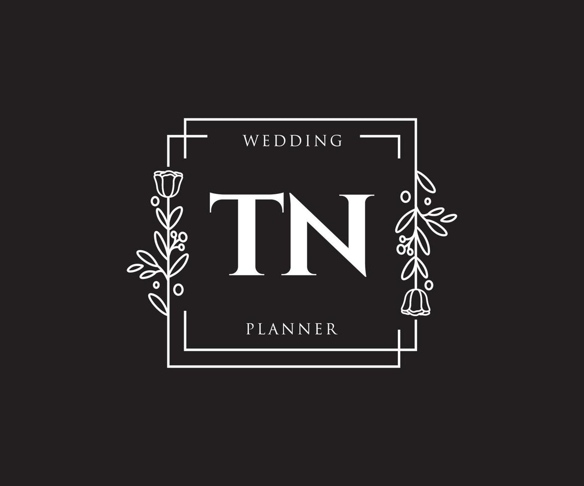 Initial TN feminine logo. Usable for Nature, Salon, Spa, Cosmetic and Beauty Logos. Flat Vector Logo Design Template Element.