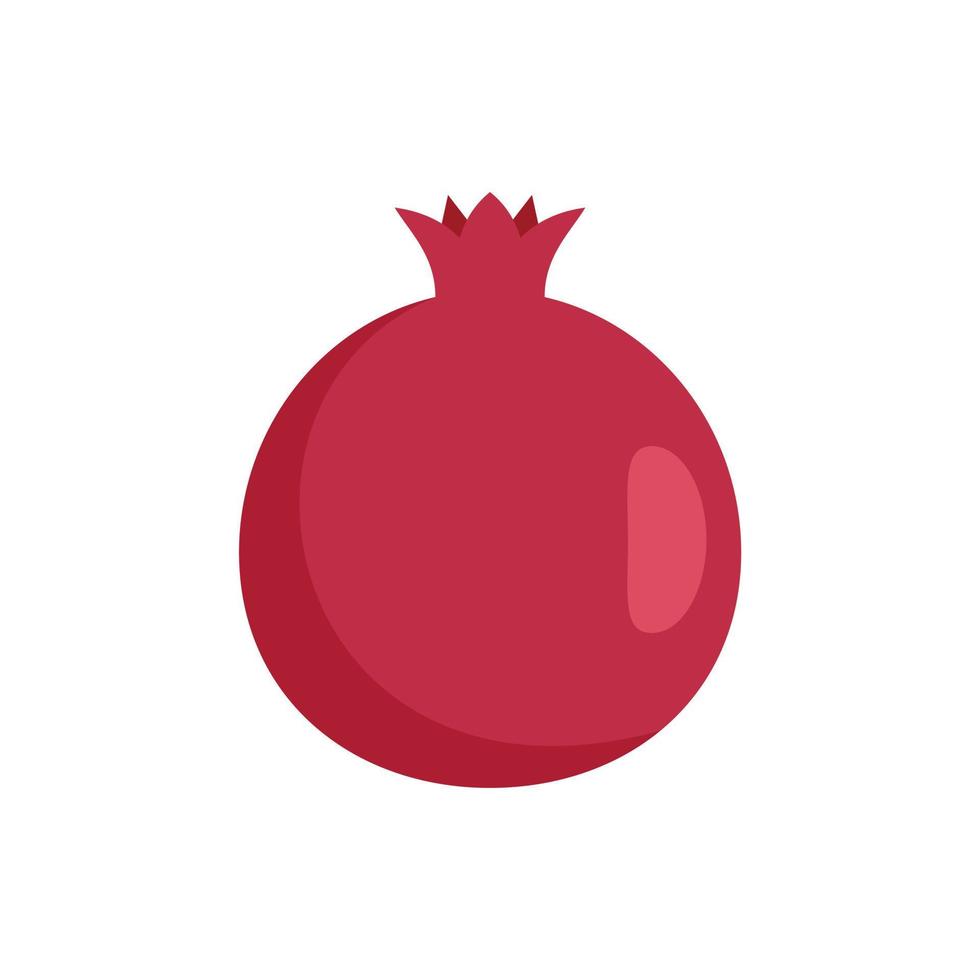 Fresh pomegranate icon flat isolated vector
