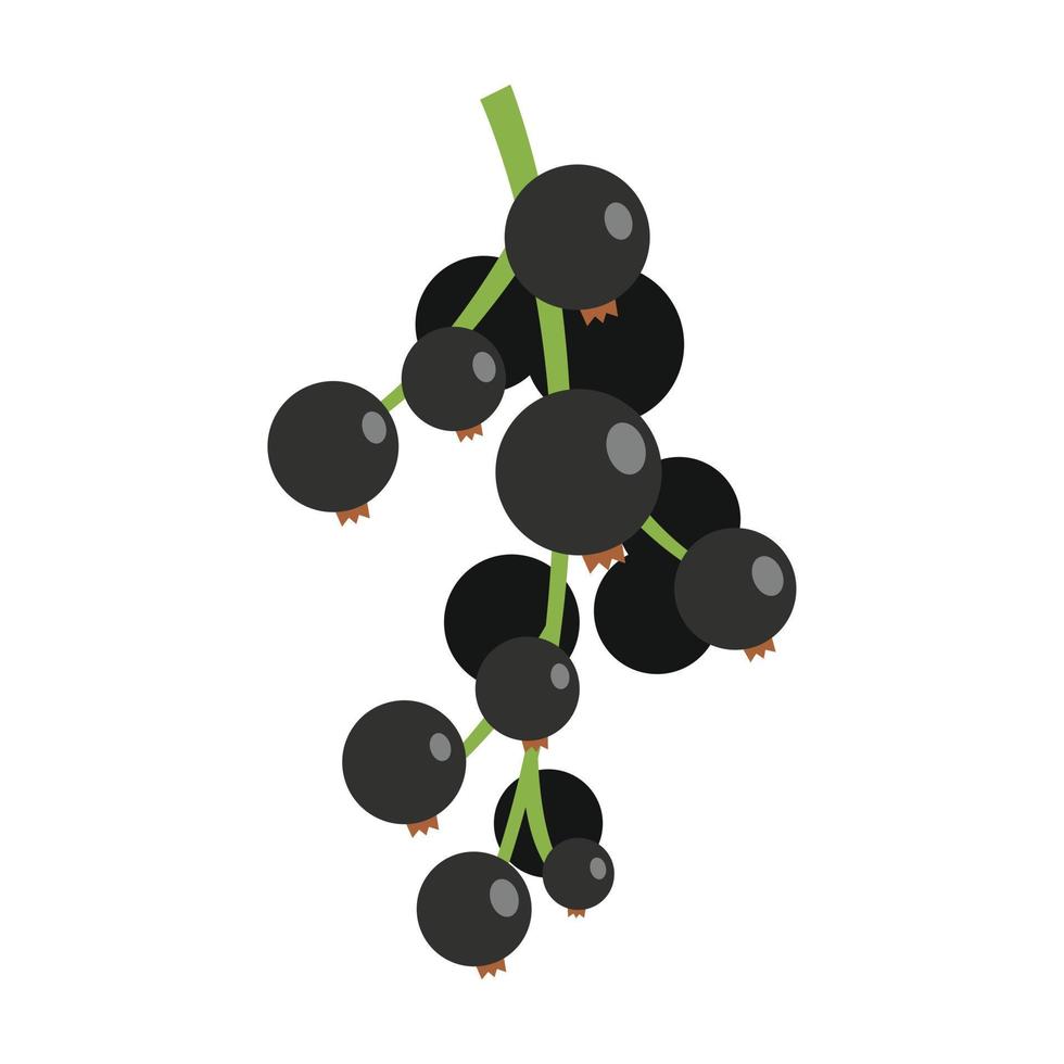 Black currant fruit icon flat isolated vector