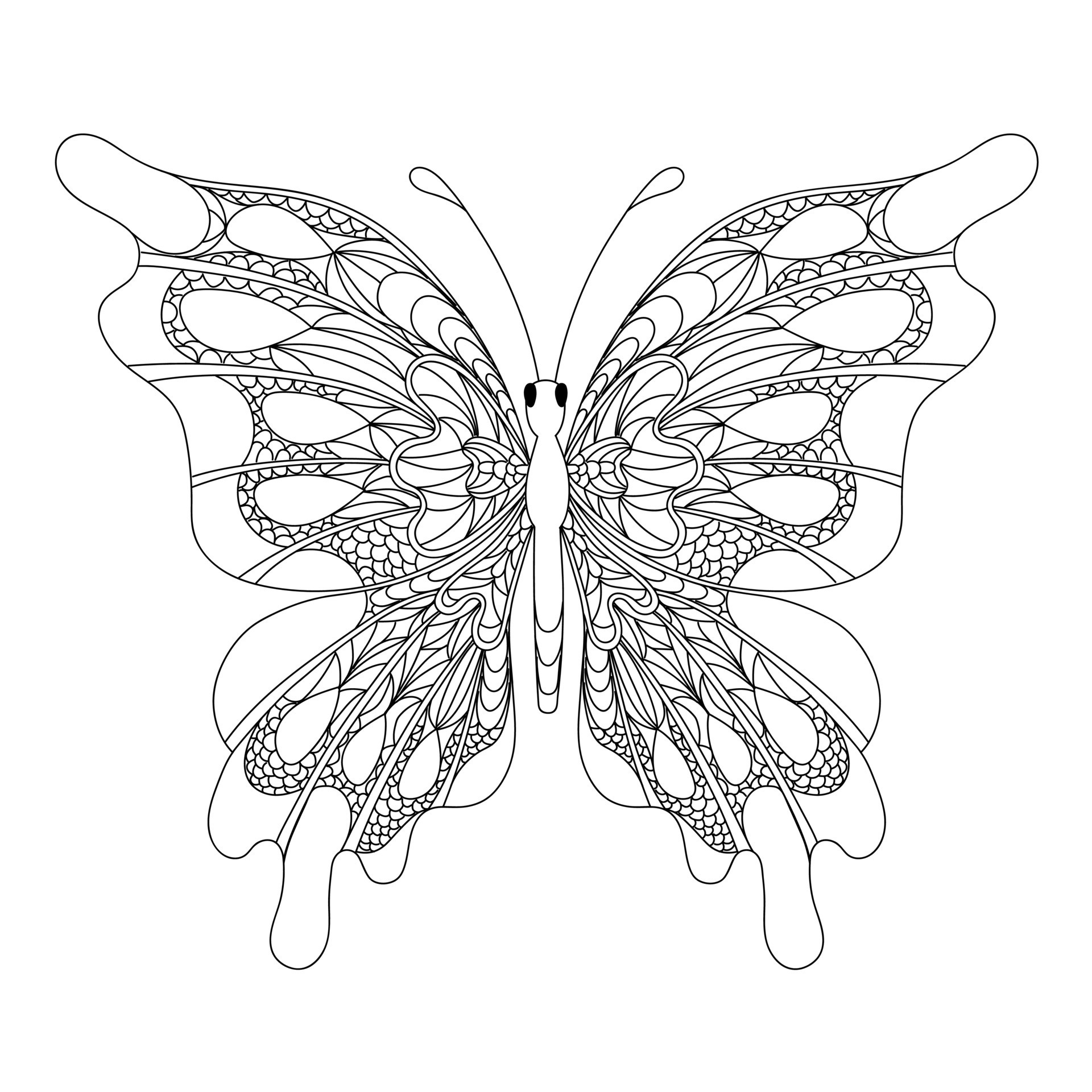 Butterfly Coloring Pages For Adults - Butterfly Coloring Page For Adults Antistress In Zentangle Style Free Vector 