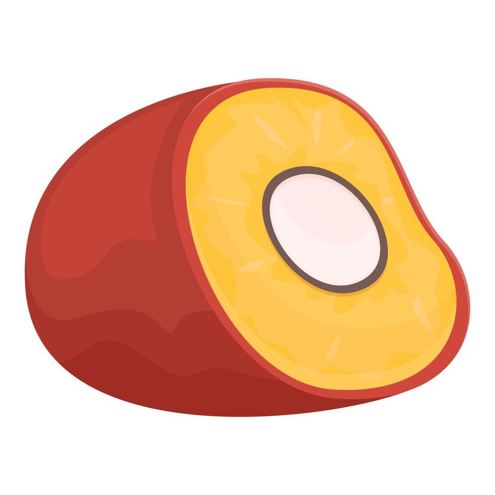 vector de dibujos animados de icono de comida de aceite de palma. Árbol de frutas