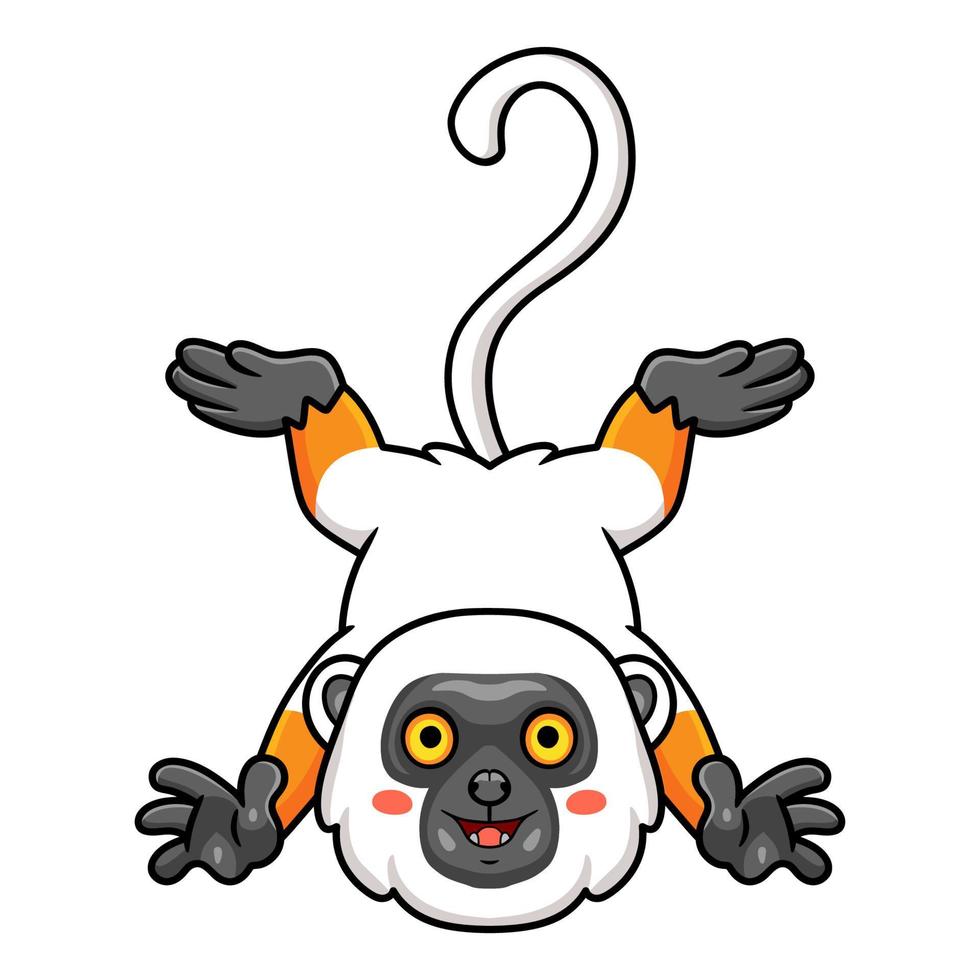 Cute sifaka lemur monkey cartoon posing vector