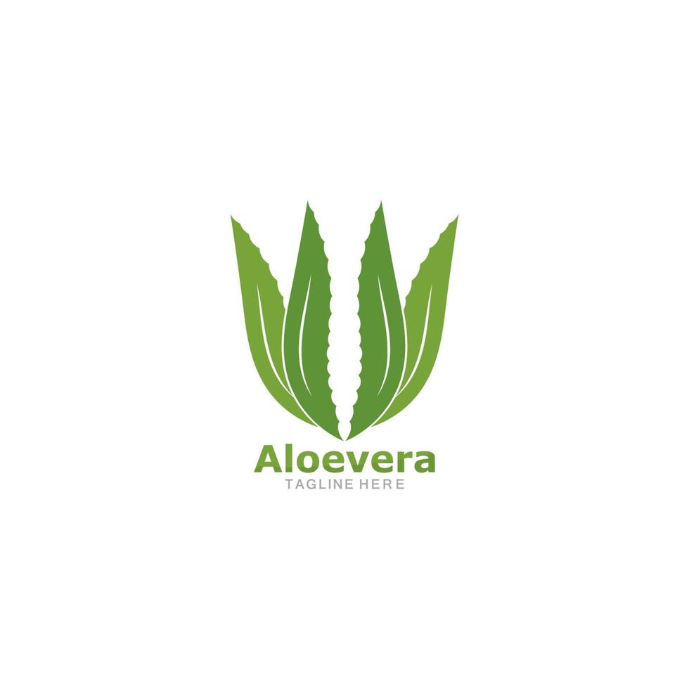 conjunto de icono de vector de plantilla de logotipo de aloevera